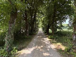 Vente maison 20 pièces