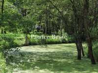 Vente maison 20 pièces
