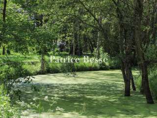 Vente maison 20 pièces