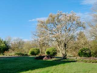 Vente maison 14 pièces