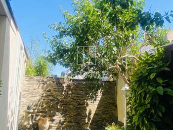 Vente Maison 4 chambresAngers Centre