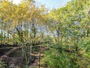 Vente Maison 5 chambresArbonne