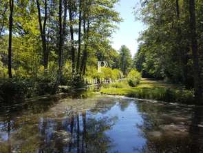 Vente Maison 25 chambresArgent-sur-Sauldre