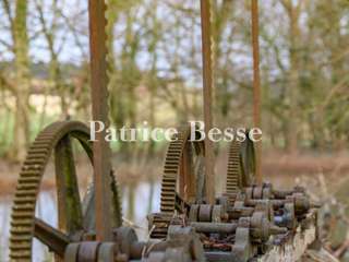 Vente maison 12 pièces