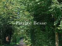 Vente maison 15 pièces