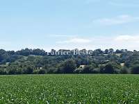 Vente maison 15 pièces