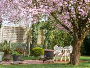 Vente Maison 3 chambresArnage