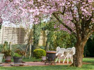 Photo Vente maison Arnage
