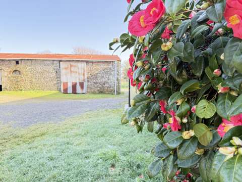 Vente maison 1 pièce Arradon 56