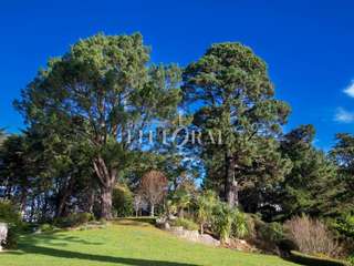 Vente maison 12 pièces