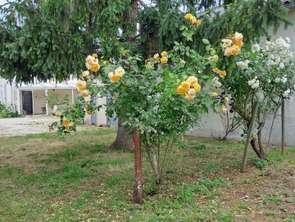 Vente Maison 2 chambresArvert