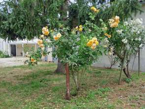 Vente Maison 2 chambresArvert