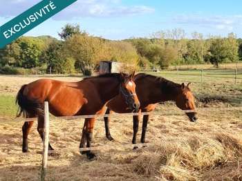 Vente Maison 4 chambresAubigny-les-Clouzeaux