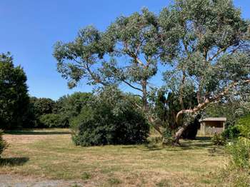 Vente Maison 4 chambresAudierne