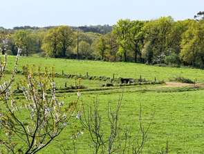 Vente Maison 4 chambresAuray
