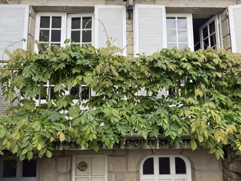 Vente maison 7 pièces Auray 56