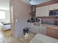 Vente maison 15 pièces