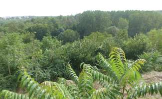 Photo Vente maison Availles-Thouarsais