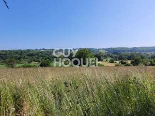 Vente maison 15 pièces