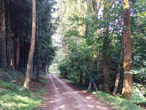 Vente Maison 4 chambresBais