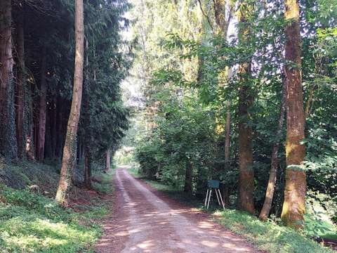 Vente maison 6 pièces Bais 53