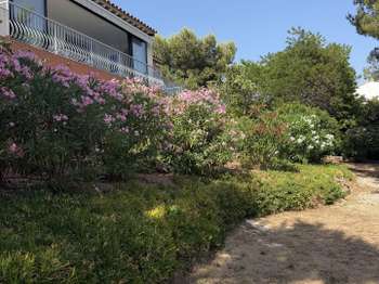 Vente maison 8 pièces Bandol 83