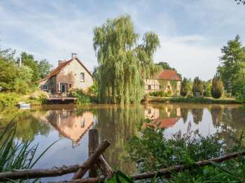 Vente maison 8 pièces Barenton 50