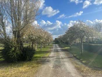 Vente maison 20 pièces