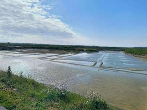 Vente Maison 5 chambresBatz-sur-Mer