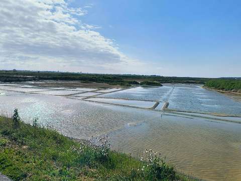 Vente maison 7 pièces Batz-sur-Mer 44