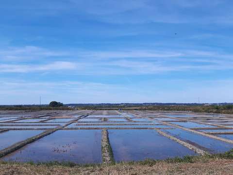 Vente maison 8 pièces Batz-sur-Mer 44