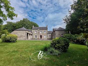 Vente maison 11 pièces Baud 56