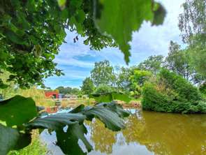 Vente Maison 2 chambresBaugé