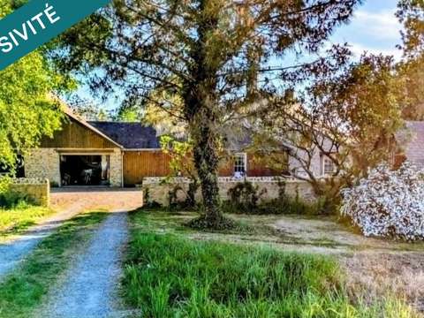 Vente maison 10 pièces Baugé 49