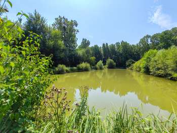 Vente Maison 4 chambresBaugé