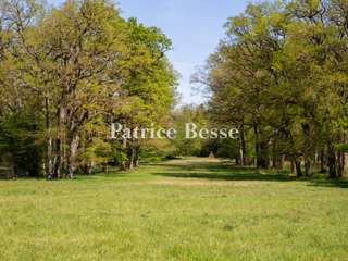 Vente maison 19 pièces