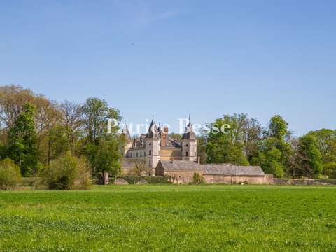 Vente maison 19 pièces