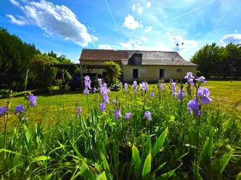 Vente maison 8 pièces Baugé 49