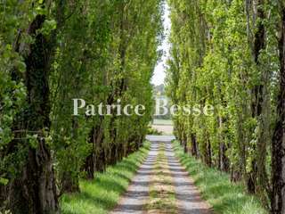 Vente maison 17 pièces