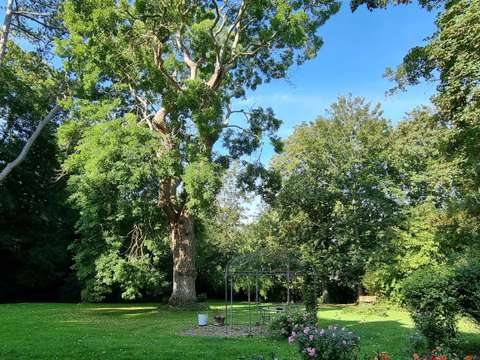 Vente maison 14 pièces