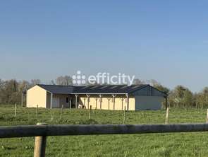 Vente Maison 1 chambreBazenville