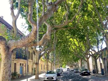 Vente maison 6 pièces Beaucaire 30