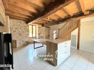 Vente maison 10 pièces