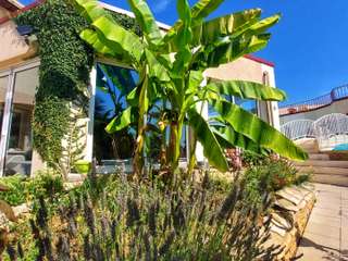 Vente maison 34 pièces