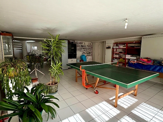 Vente maison 13 pièces