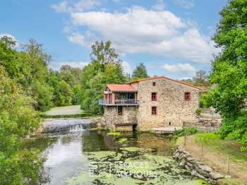 Vente maison 10 pièces Beaupreau 49