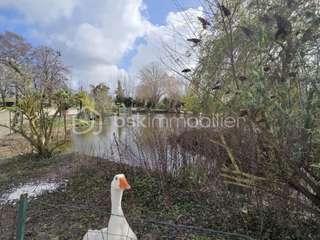 Vente maison 12 pièces