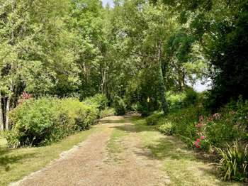 Vente maison 4 pièces Bélâbre 36