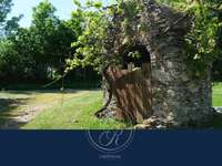 Vente maison 16 pièces