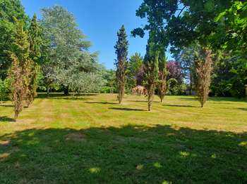 Vente maison 8 pièces Bénodet 29